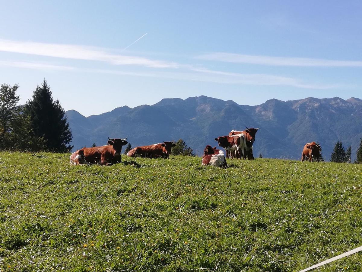 Apartamento Brunarica Na Goreljeku Bohinj Exterior foto