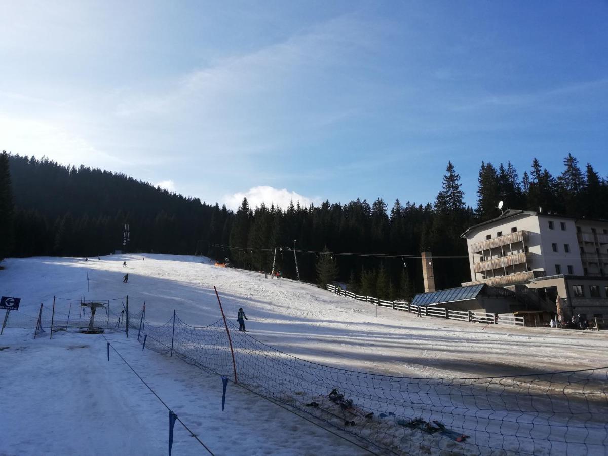 Apartamento Brunarica Na Goreljeku Bohinj Exterior foto