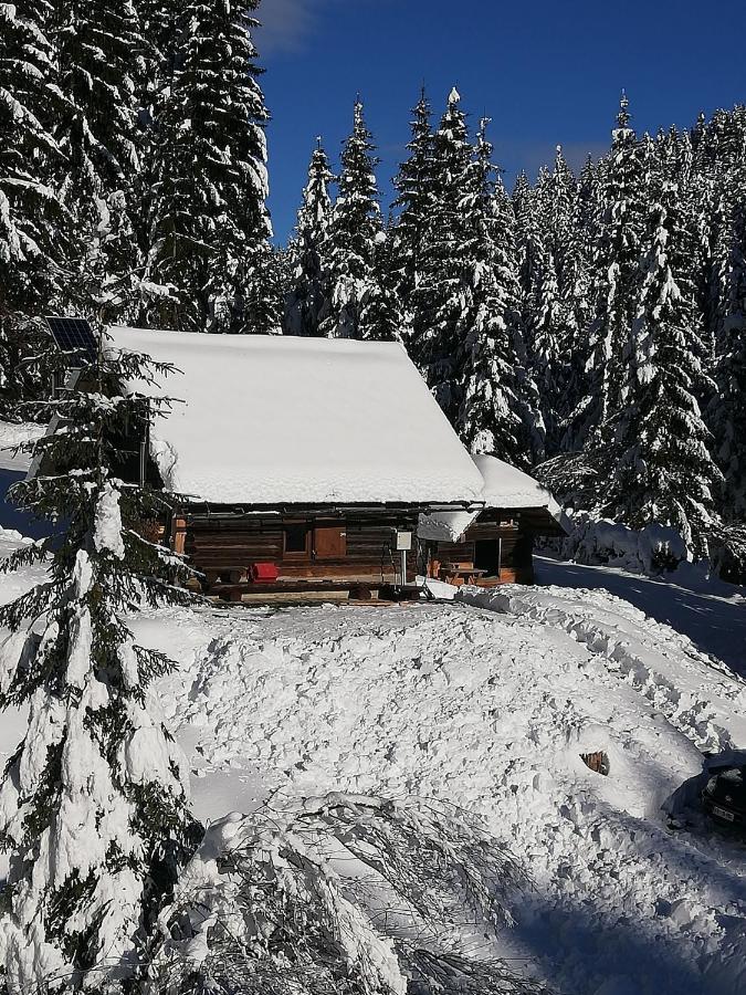 Apartamento Brunarica Na Goreljeku Bohinj Exterior foto