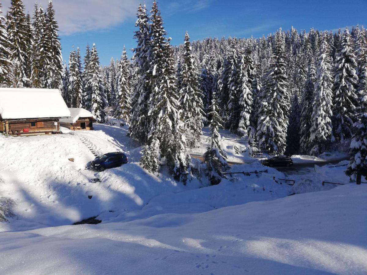 Apartamento Brunarica Na Goreljeku Bohinj Exterior foto