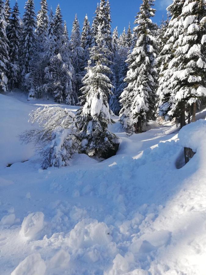 Apartamento Brunarica Na Goreljeku Bohinj Exterior foto