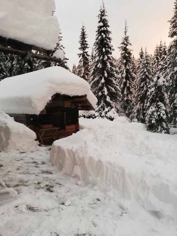 Apartamento Brunarica Na Goreljeku Bohinj Exterior foto