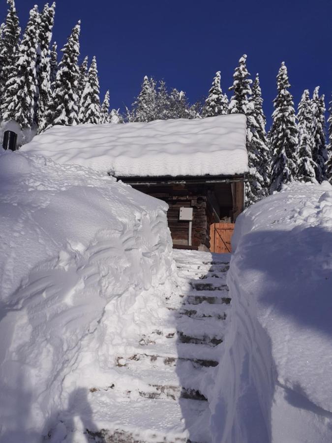 Apartamento Brunarica Na Goreljeku Bohinj Exterior foto