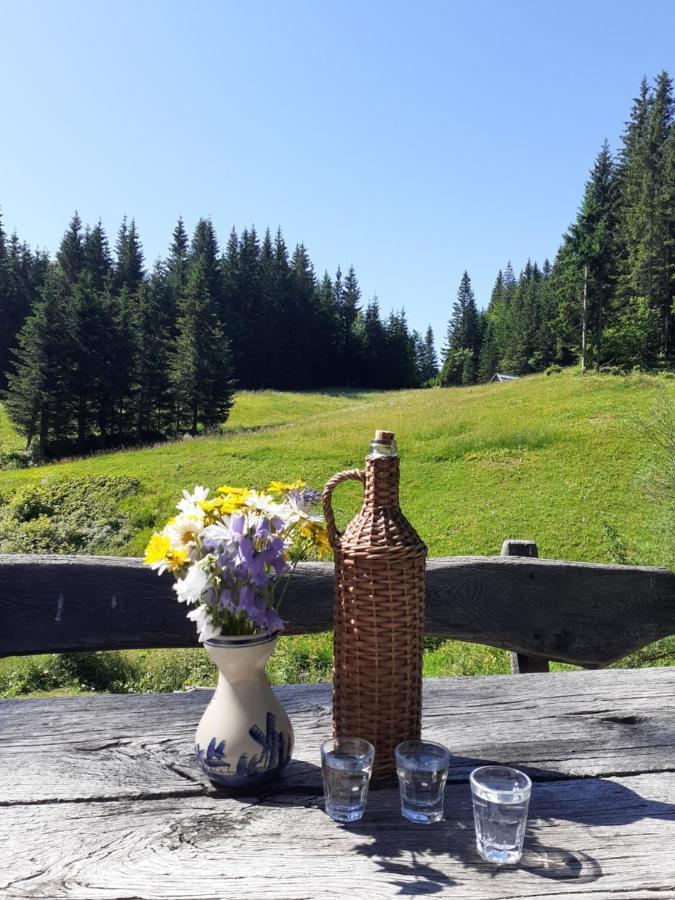 Apartamento Brunarica Na Goreljeku Bohinj Exterior foto