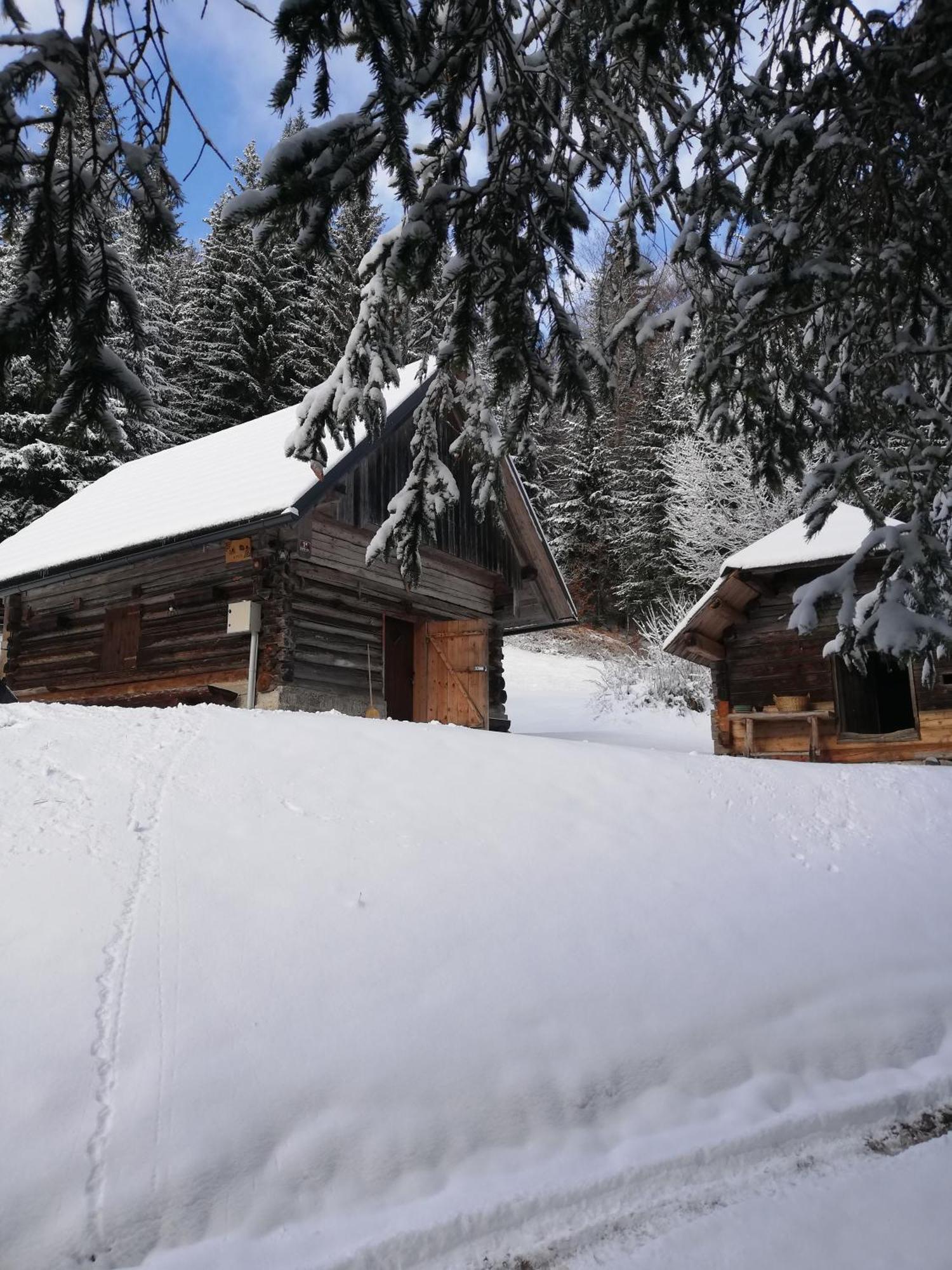 Apartamento Brunarica Na Goreljeku Bohinj Exterior foto